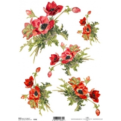 Papier ryżowy A4 R0391,maki